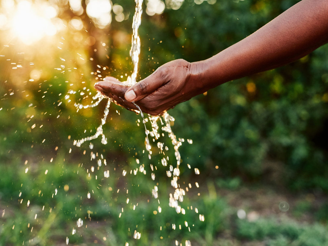Top 5 Ways to Conserve Water This Summer
