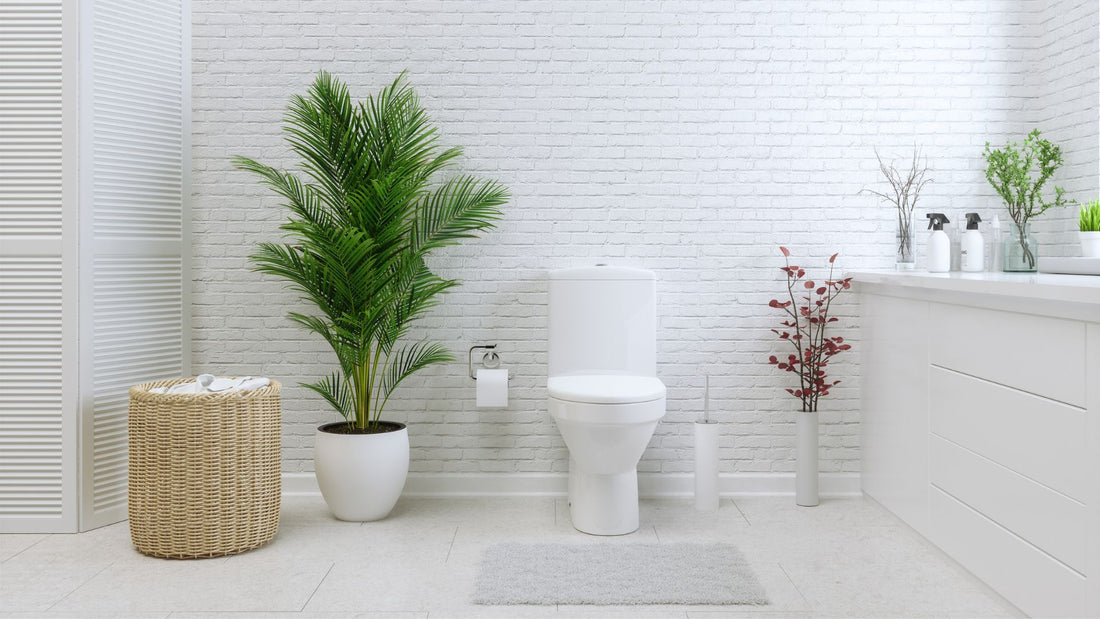 ​Why Won't My Toilet Flush
