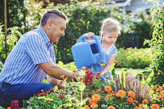 Salt Systems could Ruin your Garden