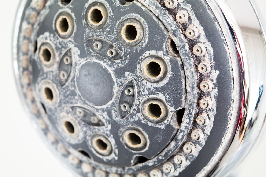 How Much Does a Whole Home Water Softener Cost?