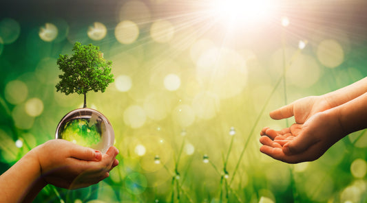 3 Different Ways to Involve your Kids in Earth Day