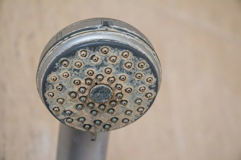 Everything You Need to Know About NuvoH2O
