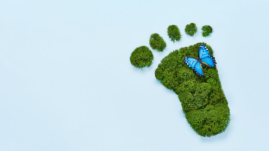 The Connection Between Water Softeners and Energy Efficiency