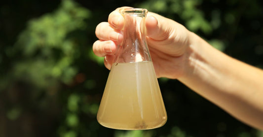 The Dangers of Contaminated Water in RVs