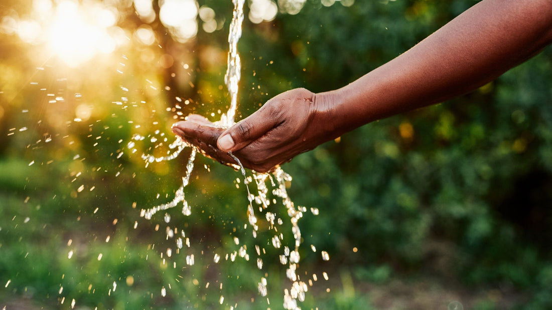 The Impact of Climate Change on Water Conservation