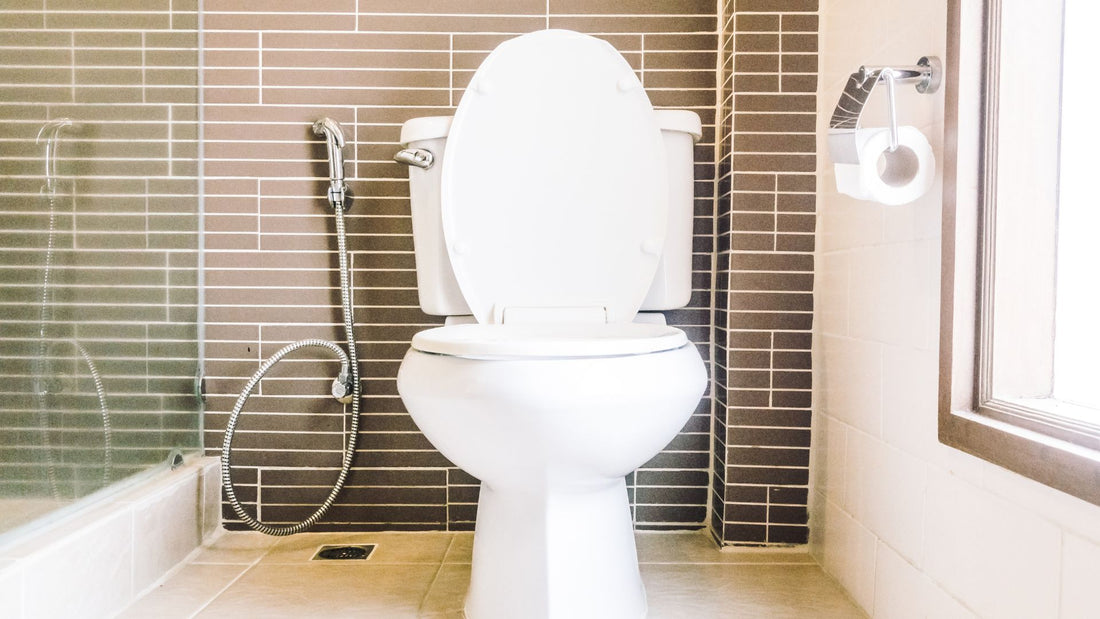 Why Is My Toilet Leaking?