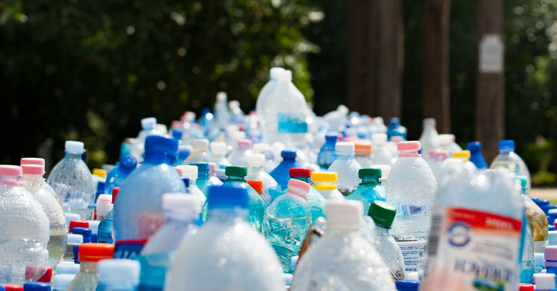 The Impact of Plastic Bottles on Our Environment