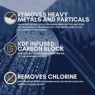 Shower Head Replacement Filter (2 Pack)