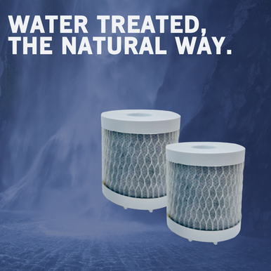 Shower Head Replacement Filter (2 Pack)