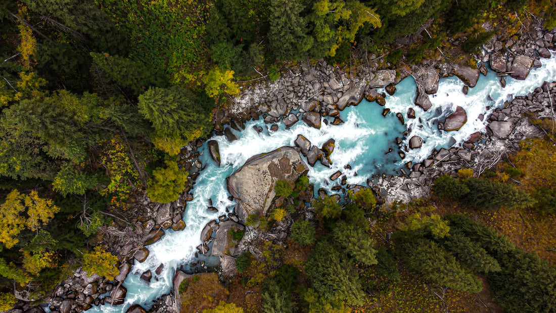 Aerial view of a river running through a forest