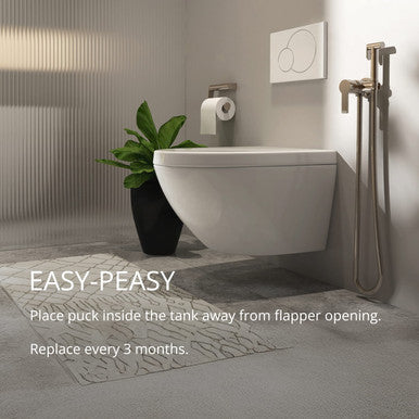 Text instruction to place the puck inside the toilet tank away from the flapper and replace it every three months