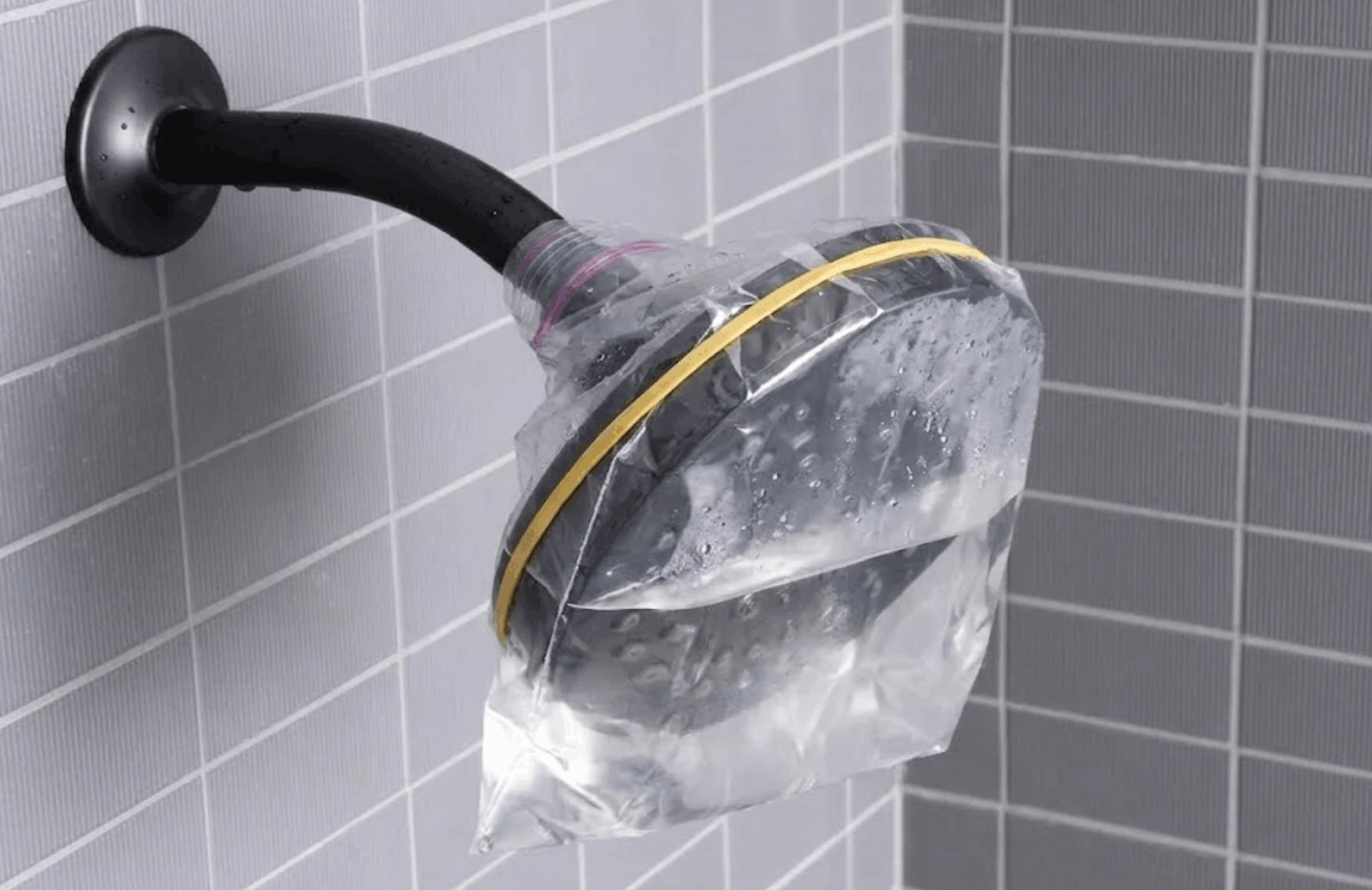Black showerhead soaking in a plastic bag of vinegar attached with a rubber band.