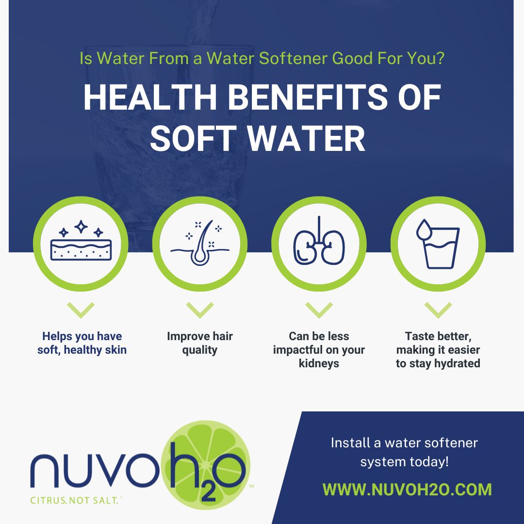 Salt vs. Salt-Free Water Softeners: Which Option is Best? [Infographic]