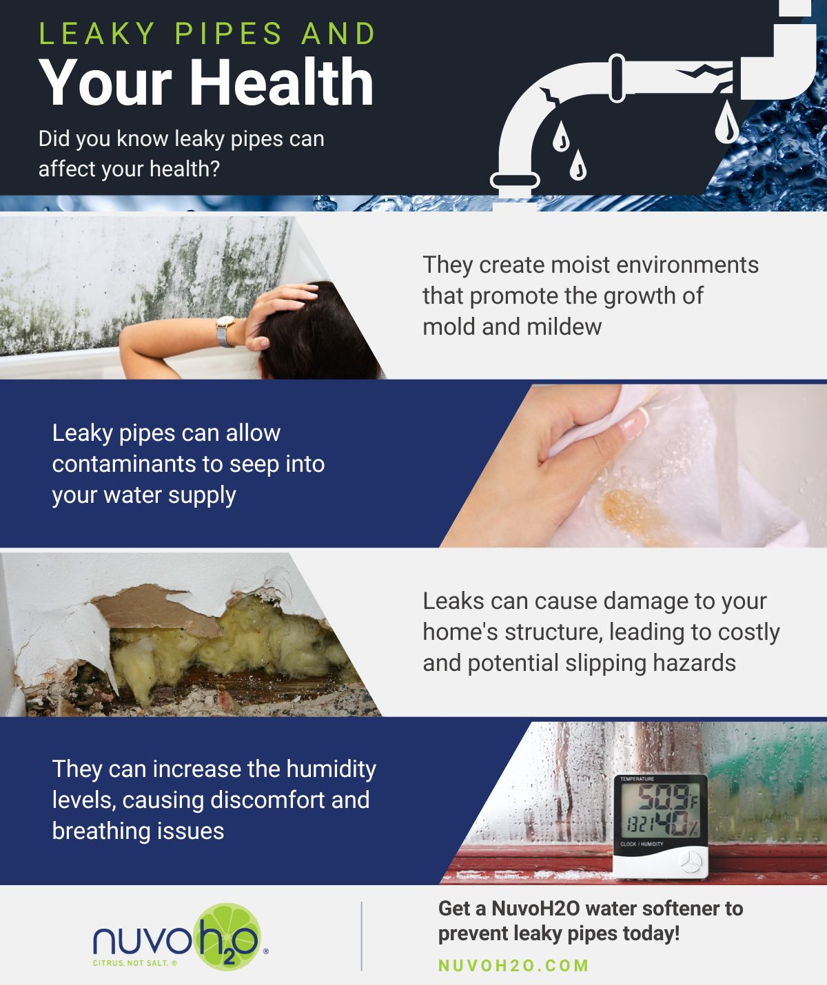 https://nuvoh2o.com/product_images/uploaded_images/m29816-nuvoh2o-leaky-pipes-and-your-health-infographic.jpg