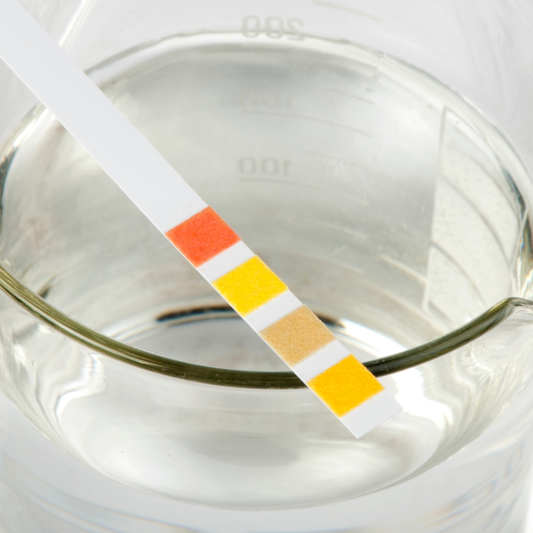 image of a pH test