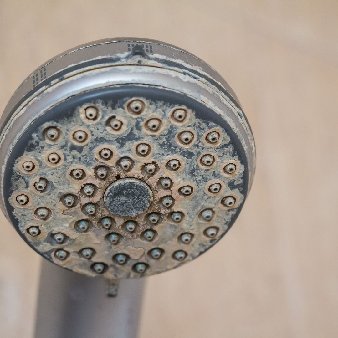 hard water on showerhead