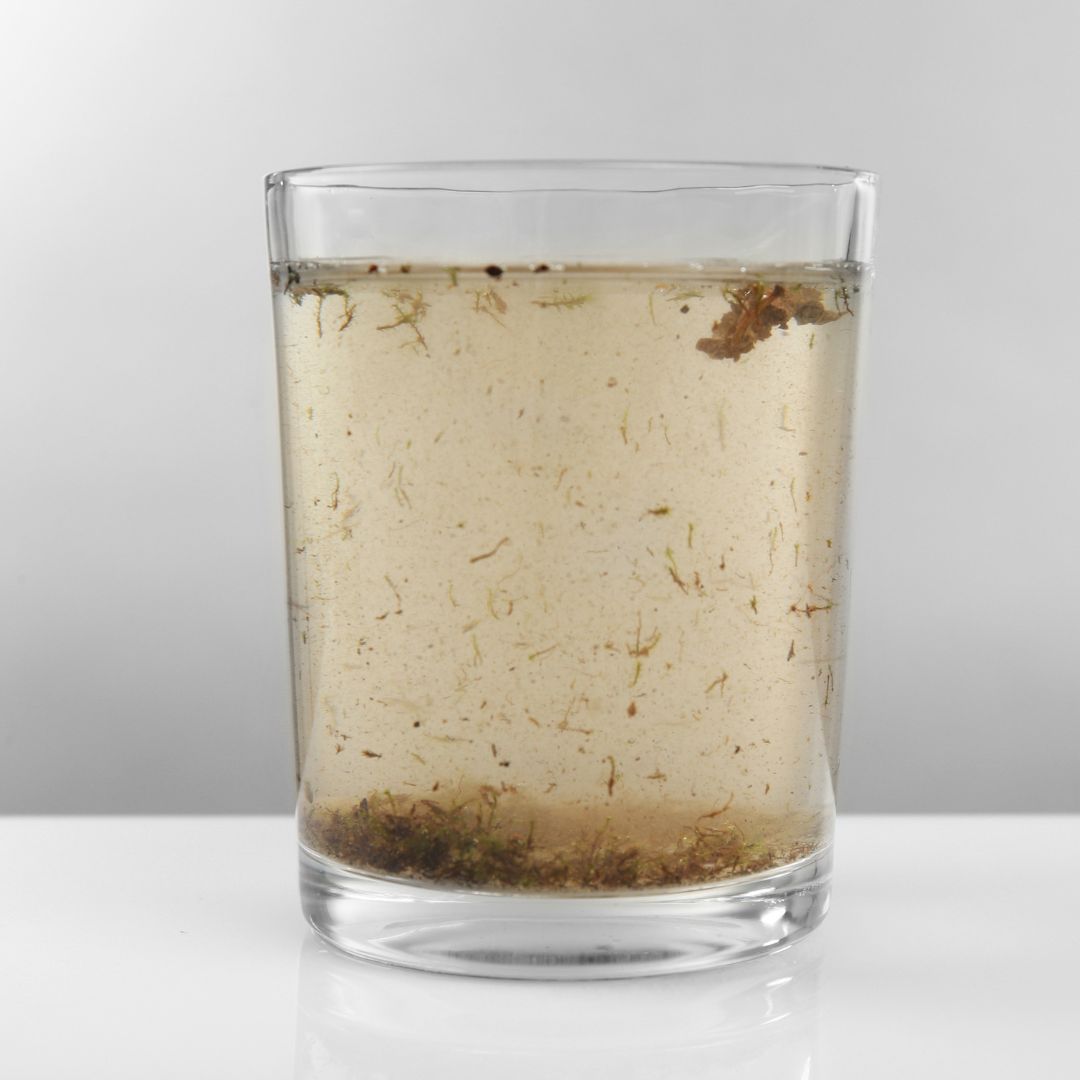 Sediment and Suspended Particles