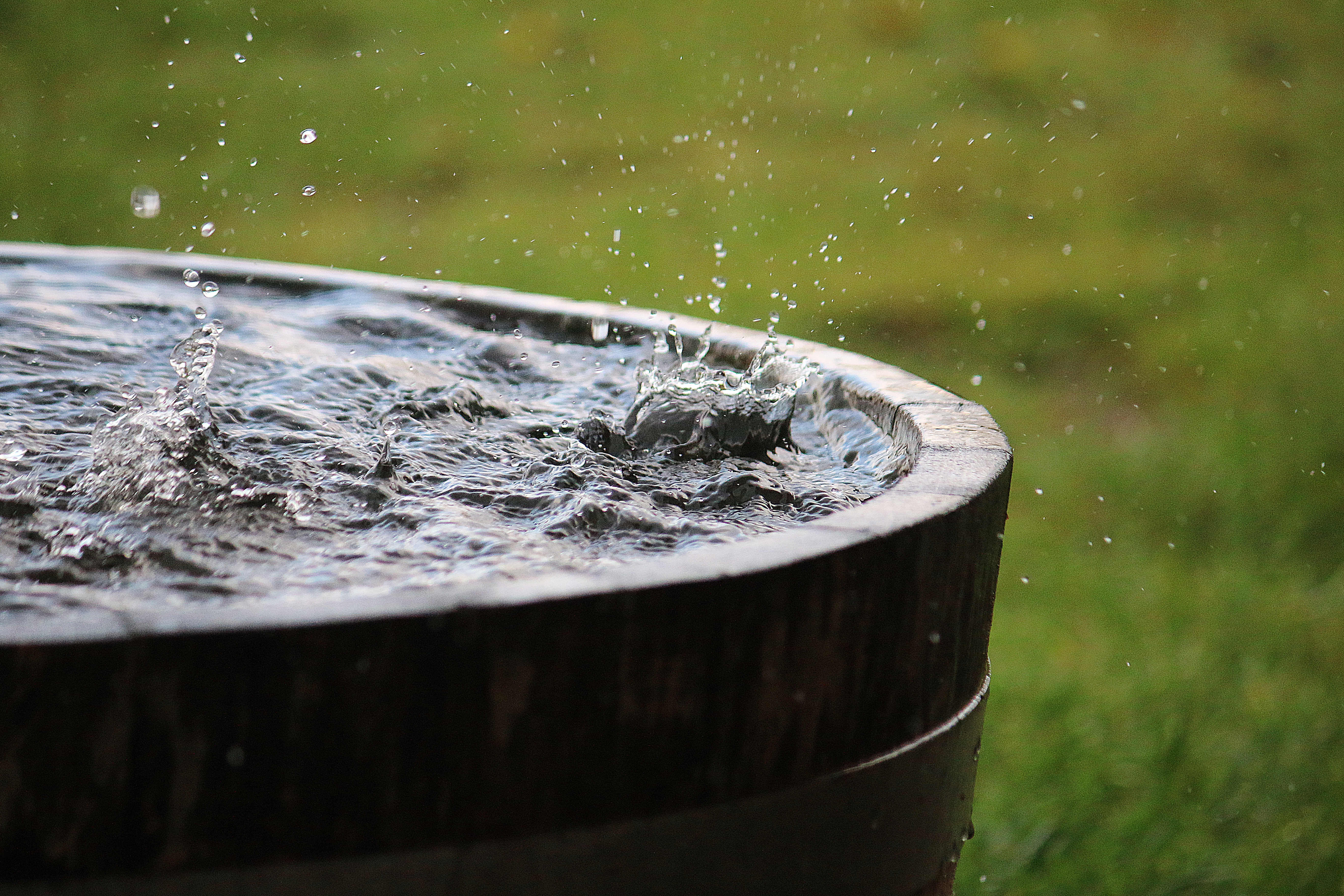 Rain Barrel