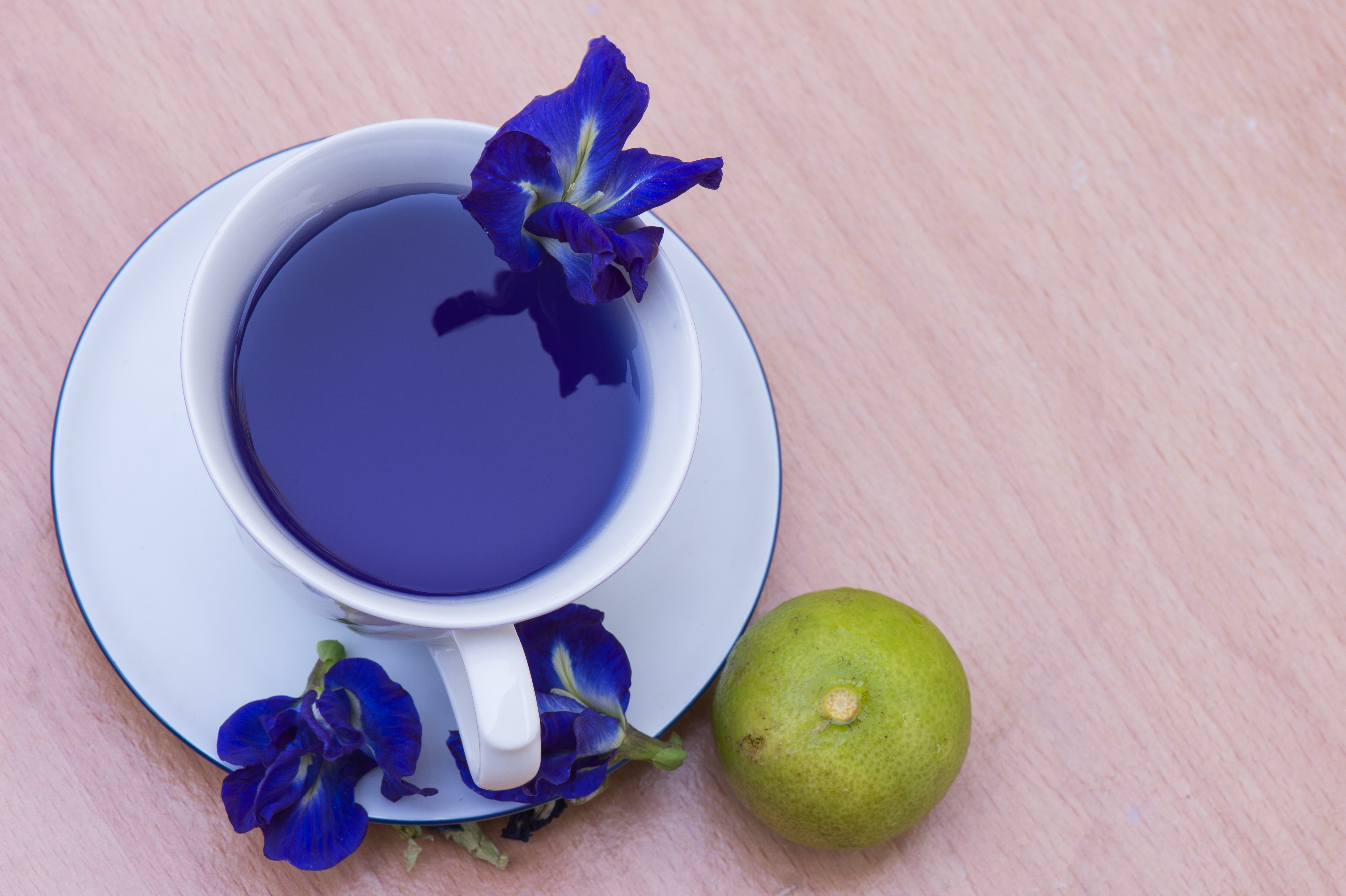 Butterfly Pea Flower Tea