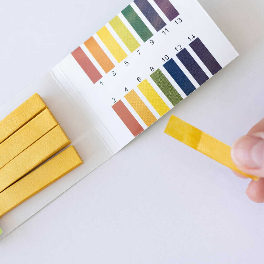 water test kit with ph strips