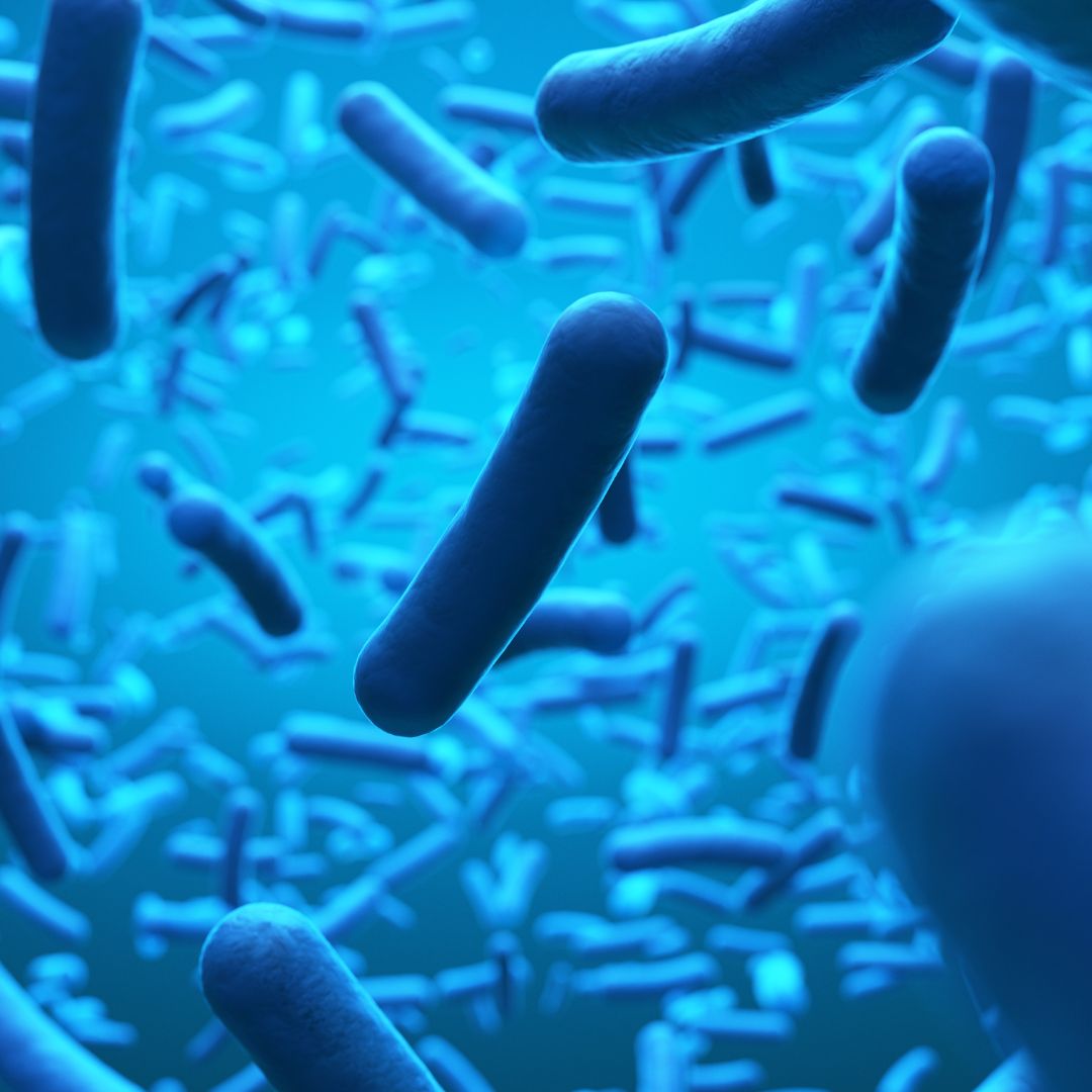 Graphic rendering of bacteria organisms